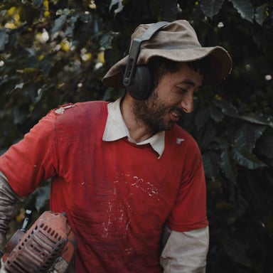 Produtor de café